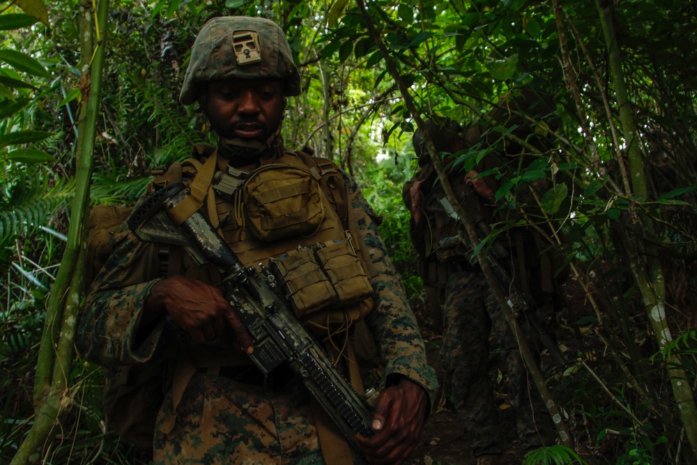 MAREX 24: U.S. Marines, Armed Forces of the Philippines engage in jungle operations, survival training