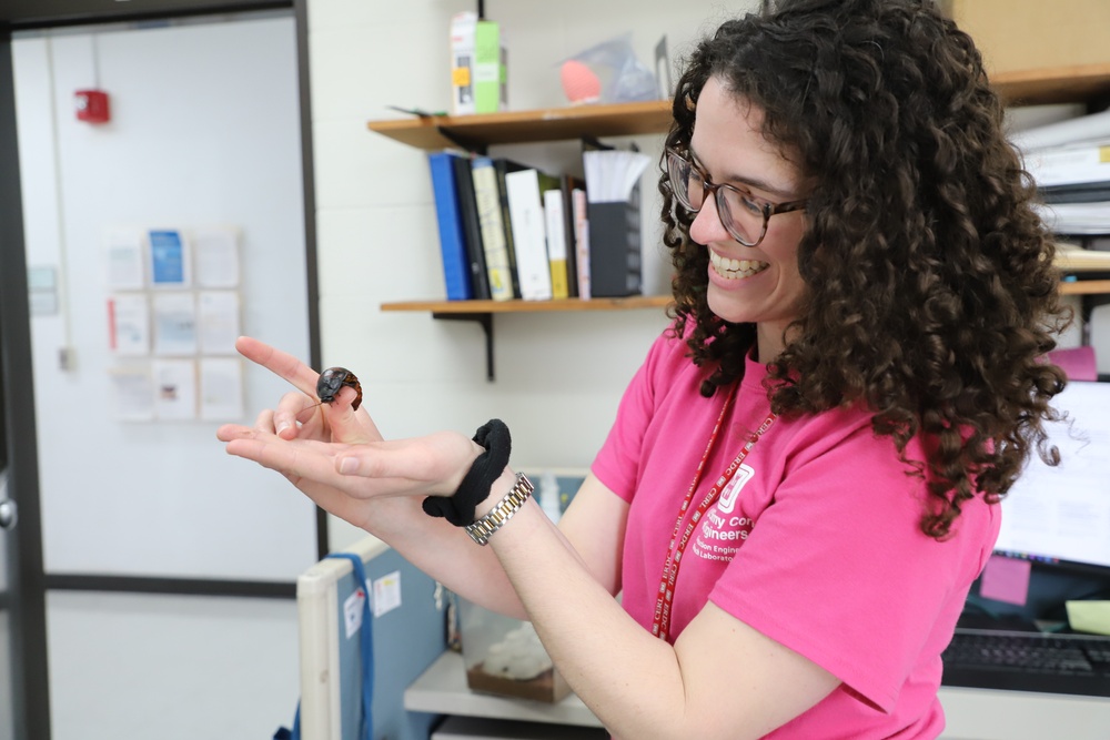 ERDC researcher using insect antennae to help the Warfighter