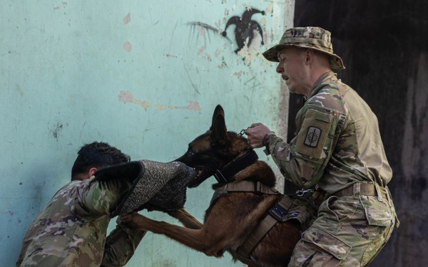 U.S. and Philippine Armies conduct Military Working Dog Bite Training