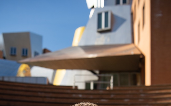 Artificial Intelligence Accelerator