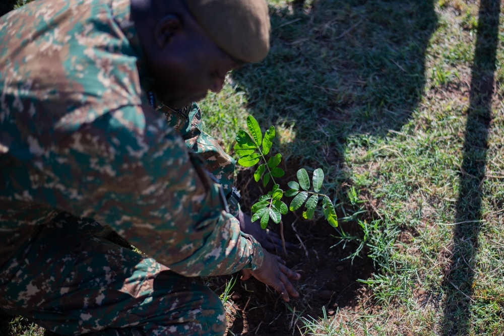 African Land Forces Summit 2024 participants plant trees