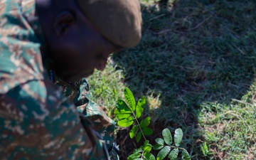 African Land Forces Summit 2024 participants plant trees
