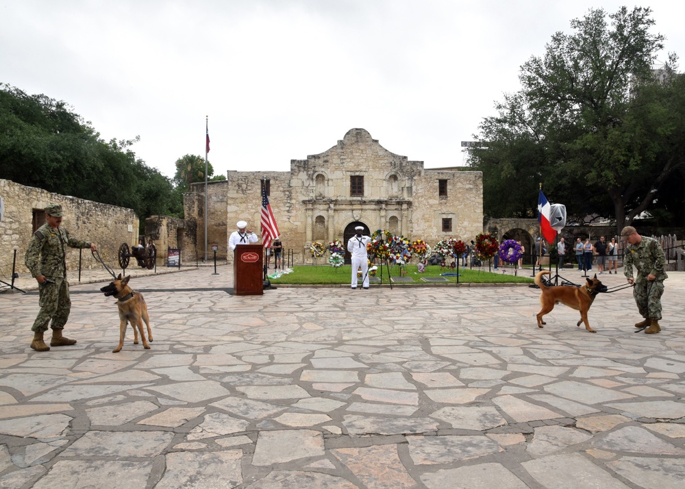 Master-at-Arms Sailors perform demonstrations at Navy Day at the Alamo