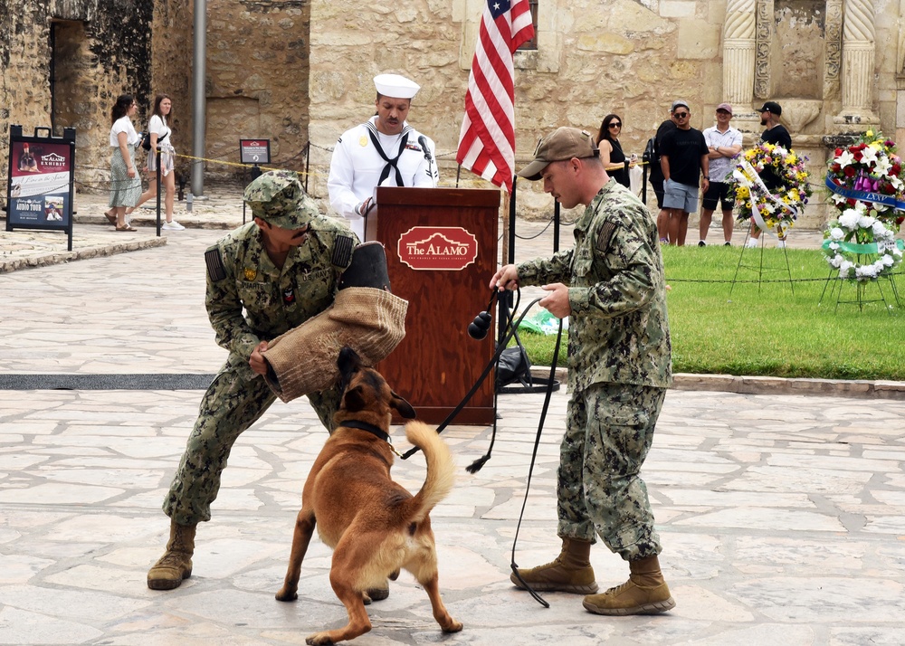 Master-at-Arms Sailors perform demonstrations at Navy Day at the Alamo