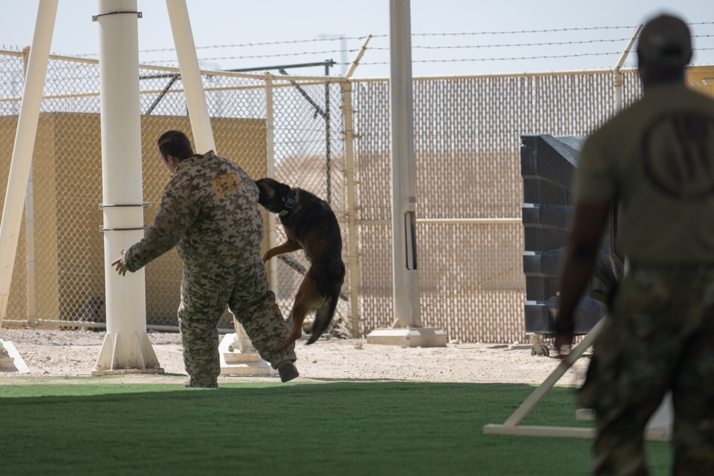 MWDs train for excellence