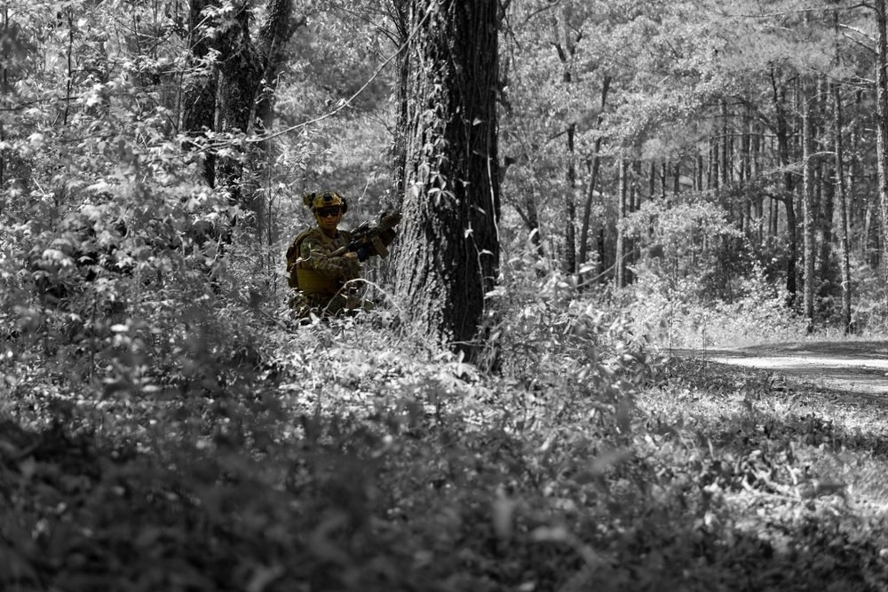 24th Marine Expeditionary Unit carry out a simulated raid at Marine Corps Outlying Field Oak Grove