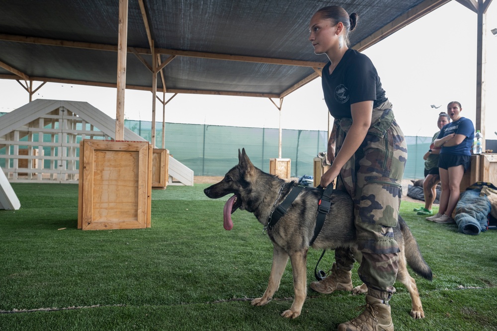 French and CLDJ Military Working Dog Handlers Train in K-9 Tactical Combat Casualty Care