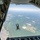 39th Rescue Squadron facilitates military free fall training