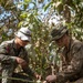 Balikatan 24: U.S., Philippine Marines Conduct Jungle Training on Balabac Island
