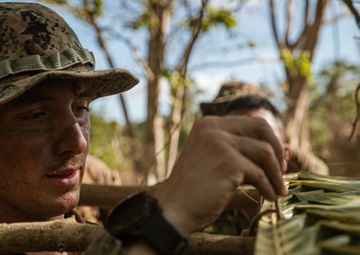 Balikatan 24: U.S., Philippine Marines Conduct Jungle Training on Balabac Island