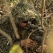 Balikatan 24: U.S., Philippine Marines Conduct Jungle Training on Balabac Island