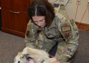 Farewell to a Furry Friend