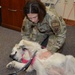 Farewell to a Furry Friend
