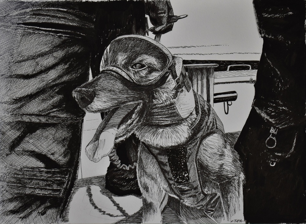 US Coast Guard Art Program 2024 Collection, Object Id # 202432, &quot;Canine in training,&quot; Christopher Tupa