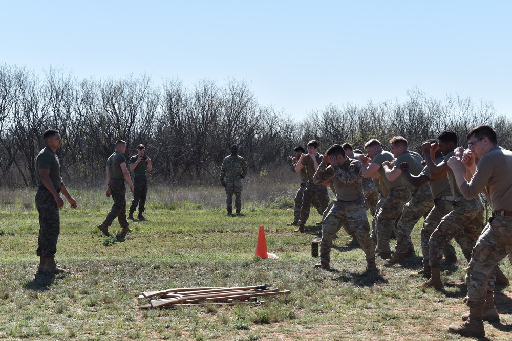 Dyess AFB establishes WAR Center