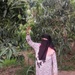 Female farmer doubles her family’s mango harvest following to USAID’s training