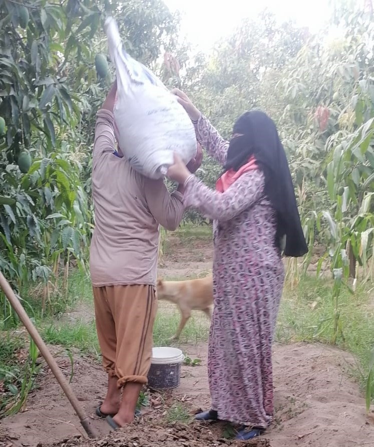 Female farmer doubles her family’s mango harvest following to USAID’s training