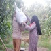 Female farmer doubles her family’s mango harvest following to USAID’s training