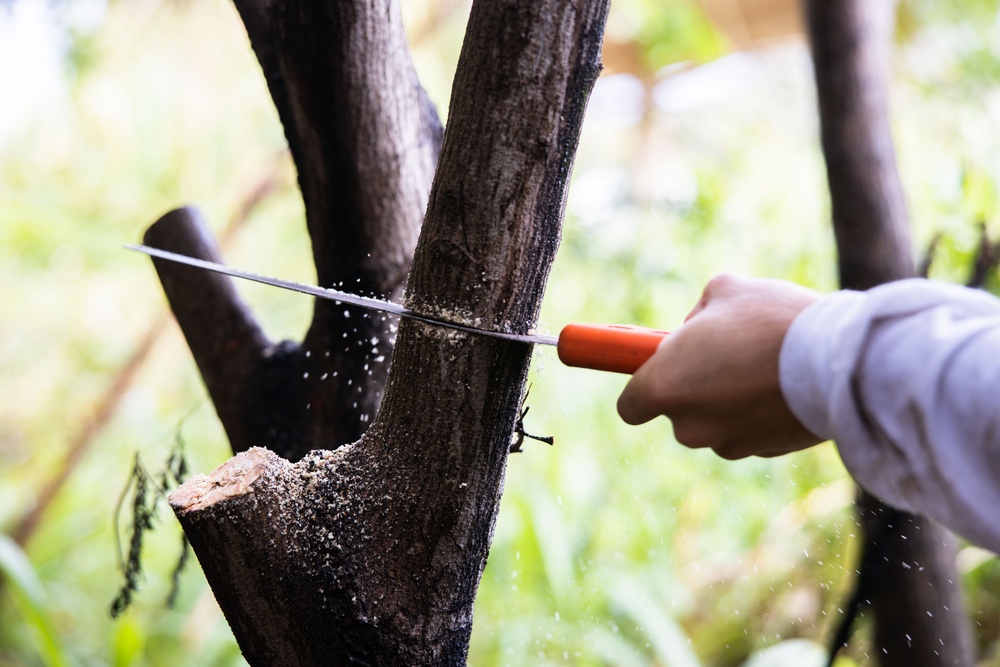 Branching Out: Weed Warriors clear invasive plants and debris from the Mokapu Central Drainage Channel on MCBH