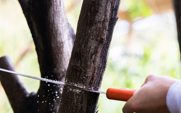 Branching Out: Weed Warriors clear invasive plants and debris from the Mokapu Central Drainage Channel on MCBH
