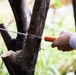 Branching Out: Weed Warriors clear invasive plants and debris from the Mokapu Central Drainage Channel on MCBH