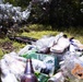 Branching Out: Weed Warriors clear invasive plants and debris from the Mokapu Central Drainage Channel on MCBH