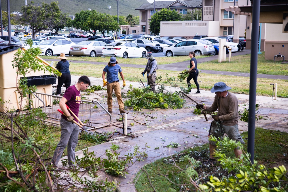 Branching Out: Weed Warriors clear invasive plants and debris from the Mokapu Central Drainage Channel on MCBH