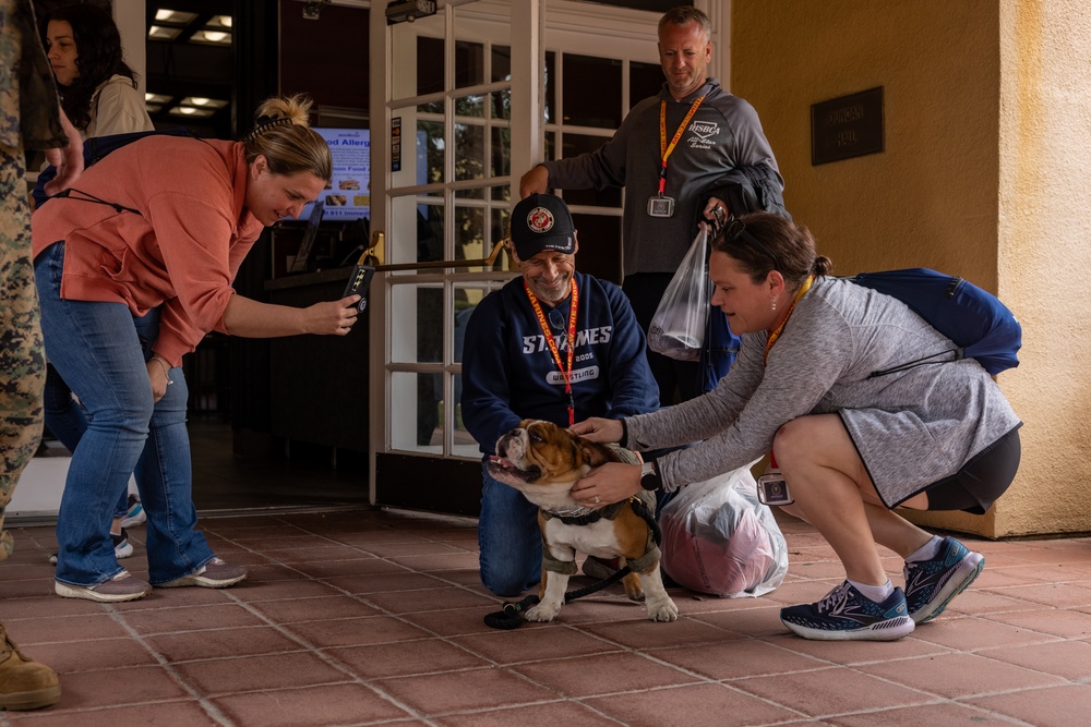 RS Chicago, Kansas City, and Saint Louis Educators Workshop Day 3