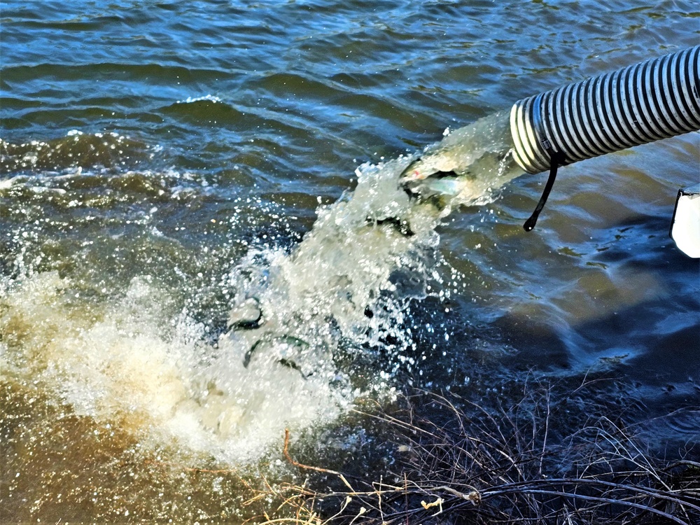 USFWS stocks more than 15,000 rainbow trout in Fort McCoy’s waterways for 2024 fishing season