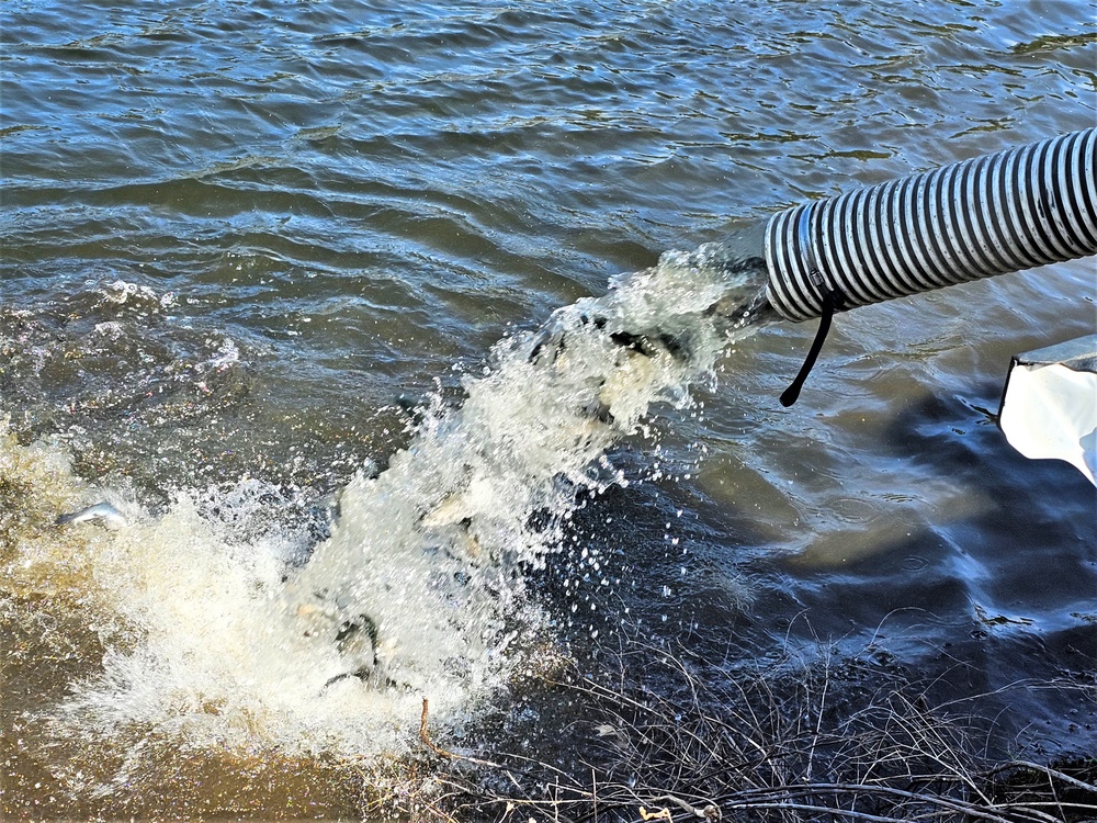 USFWS stocks more than 15,000 rainbow trout in Fort McCoy’s waterways for 2024 fishing season