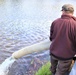 USFWS stocks more than 15,000 rainbow trout in Fort McCoy’s waterways for 2024 fishing season