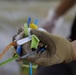 Balikatan 24: U.S. Marines, Sailors and Airmen Volunteer for Subic Bay Beach Clean-Up