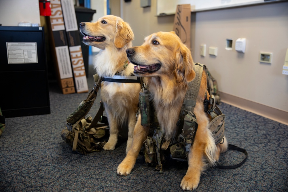 D.C. National Guard Aviation Focuses on Holistic Wellness