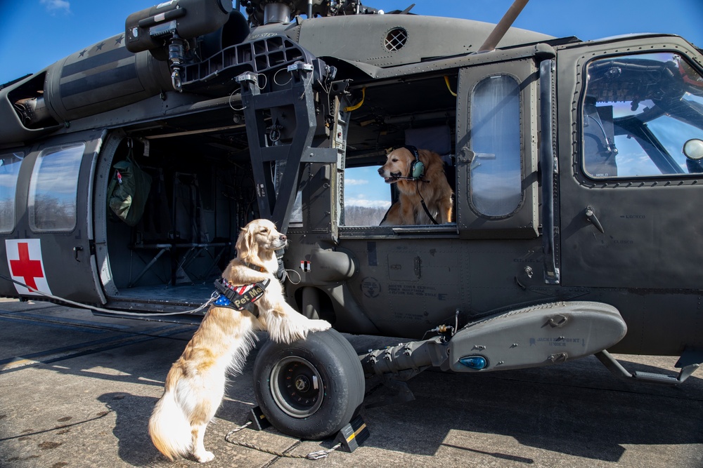 D.C. National Guard Aviation Focuses on Holistic Wellness