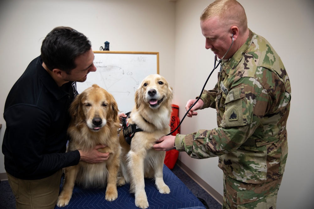 D.C. National Guard Aviation Focuses on Holistic Wellness