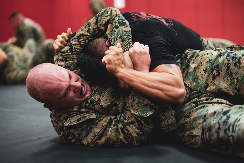 MARFORK Marines, U.S. Army Soldiers conduct MCMAP Training