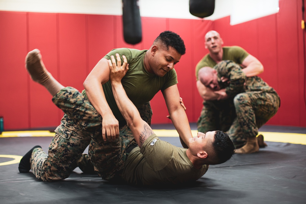 MARFORK Marines, U.S. Army Soldiers conduct MCMAP Training