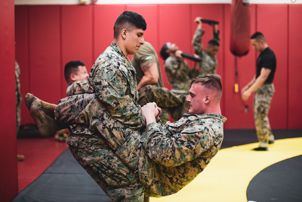 MARFORK Marines, U.S. Army Soldiers conduct MCMAP Training