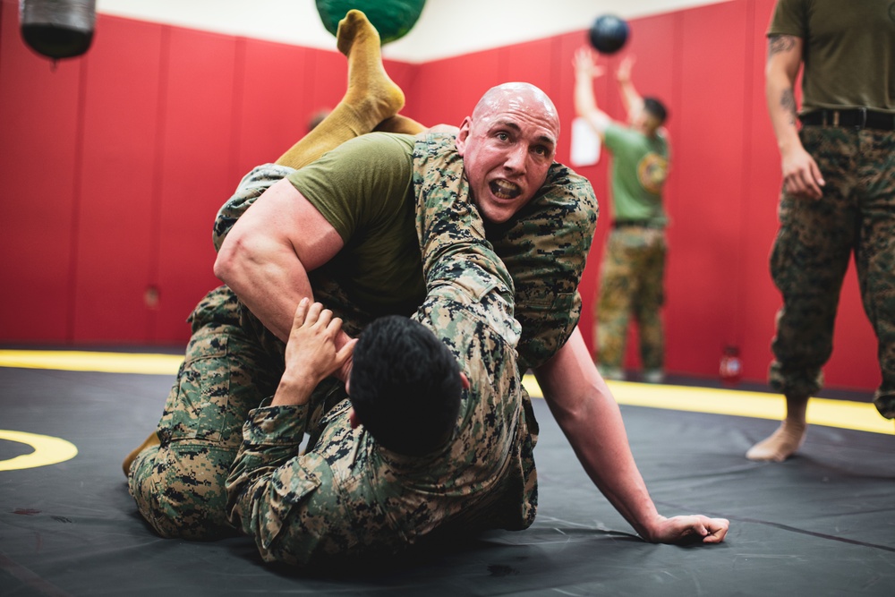 MARFORK Marines, U.S. Army Soldiers conduct MCMAP Training