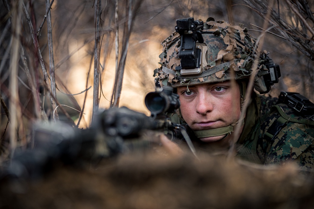 Warrior Shield 24: U.S. Marines Execute Training at KCTC