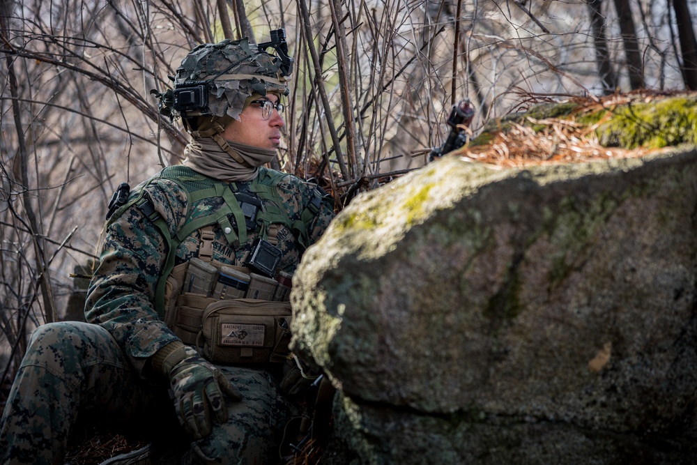 Warrior Shield 24: U.S. Marines Execute Training at KCTC