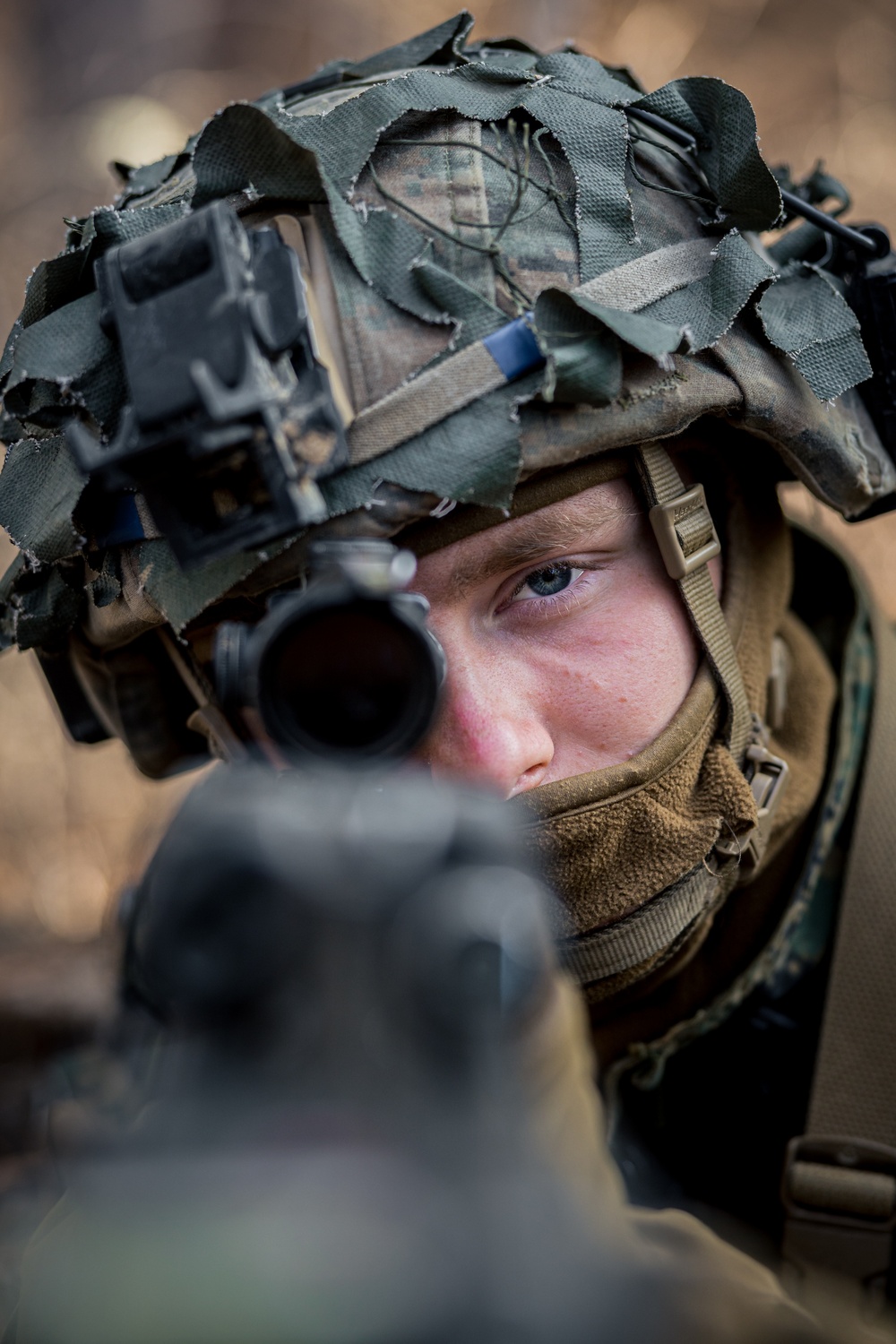 Warrior Shield 24: U.S. Marines Execute Training at KCTC