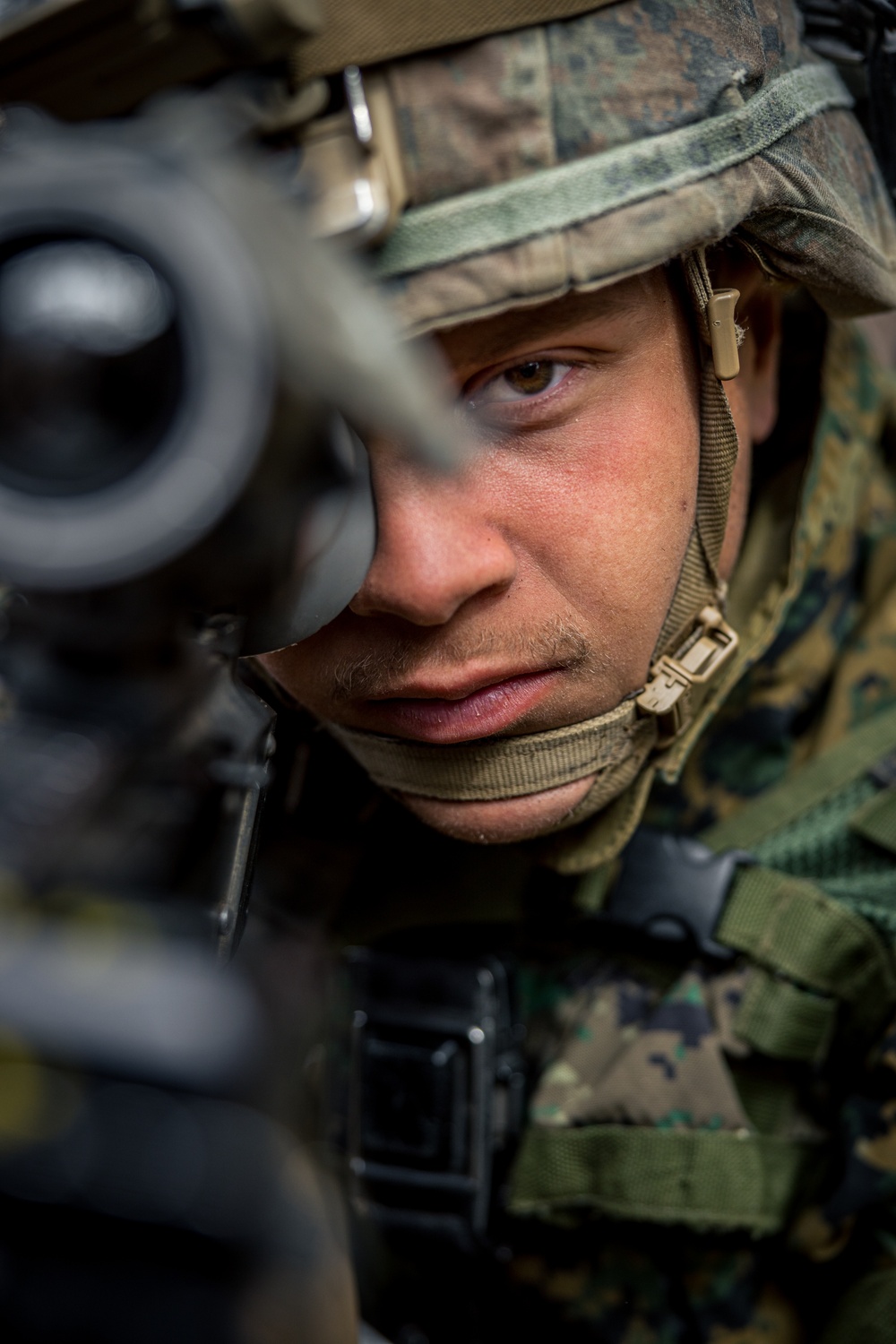 Warrior Shield 24: U.S. Marines Execute Training at KCTC