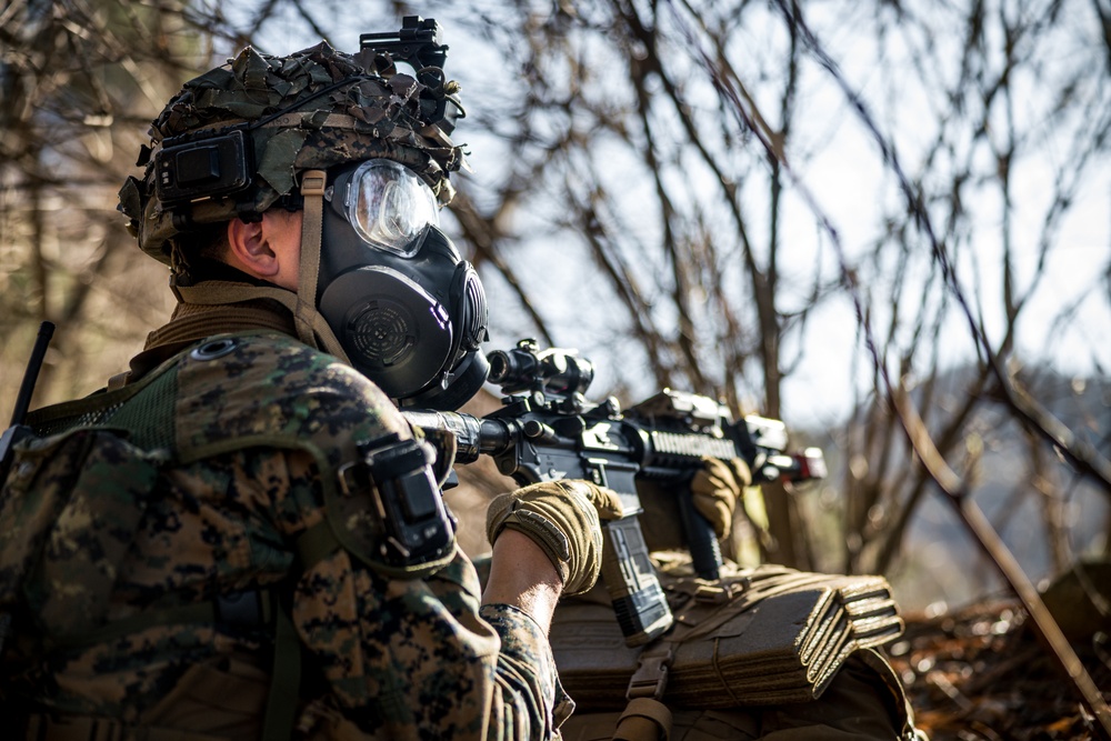 Warrior Shield 24: U.S. Marines Execute Training at KCTC