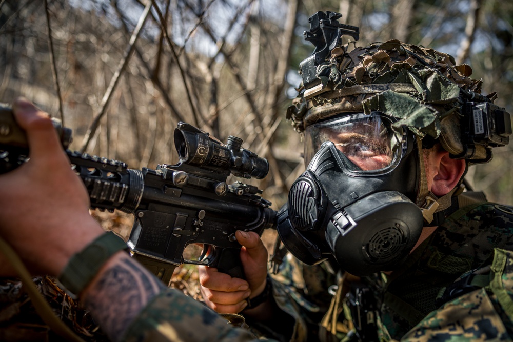 Warrior Shield 24: U.S. Marines Execute Training at KCTC