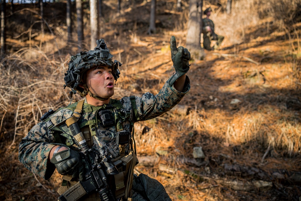 Warrior Shield 24: U.S. Marines Execute Training at KCTC