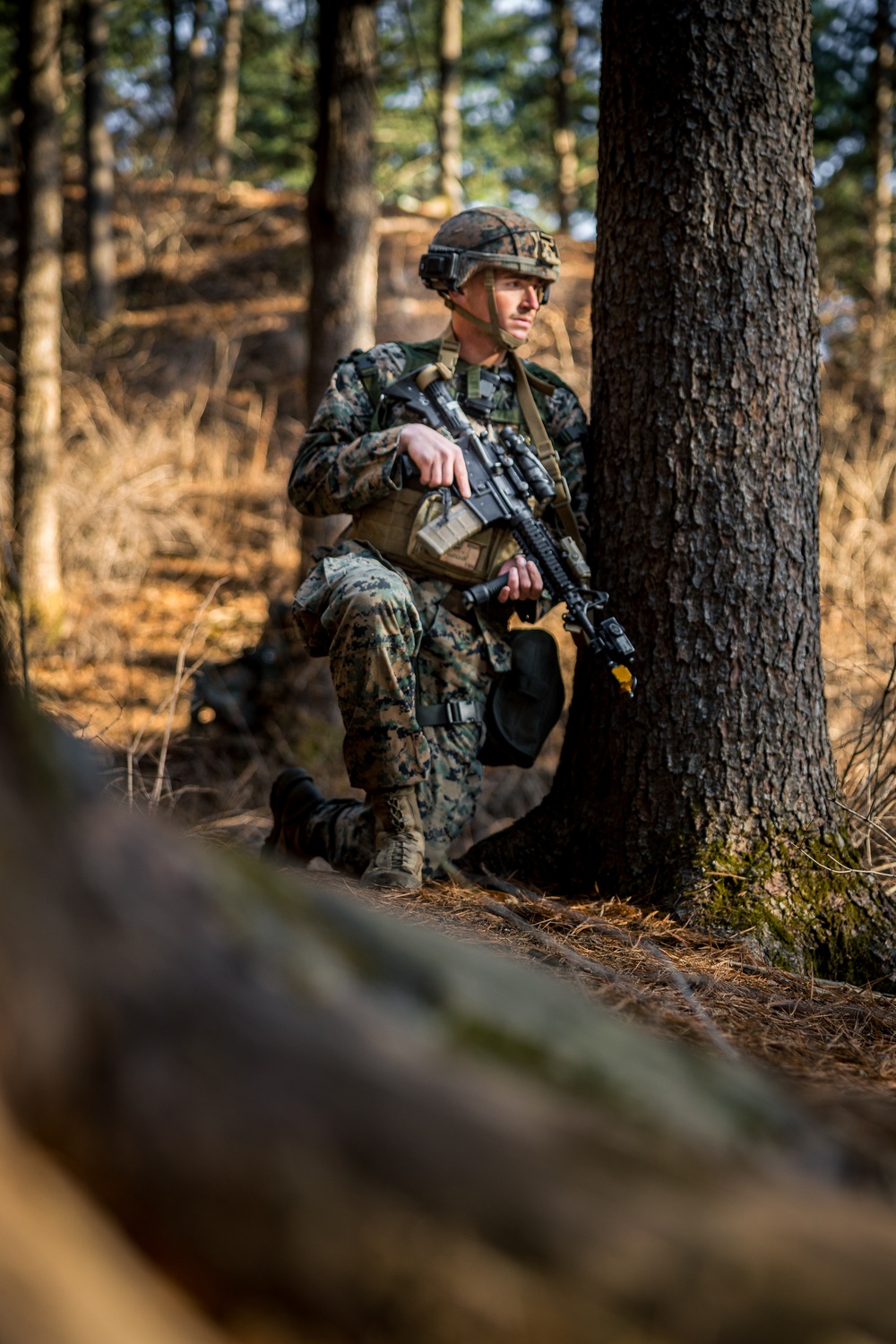 Warrior Shield 24: U.S. Marines Execute Training at KCTC