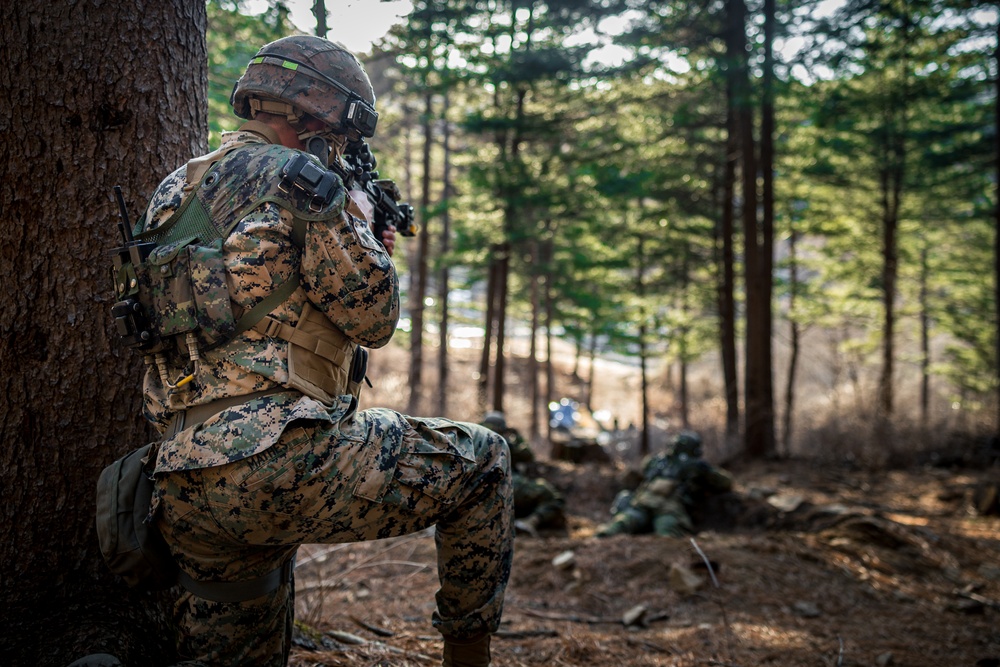Warrior Shield 24: U.S. Marines Execute Training at KCTC