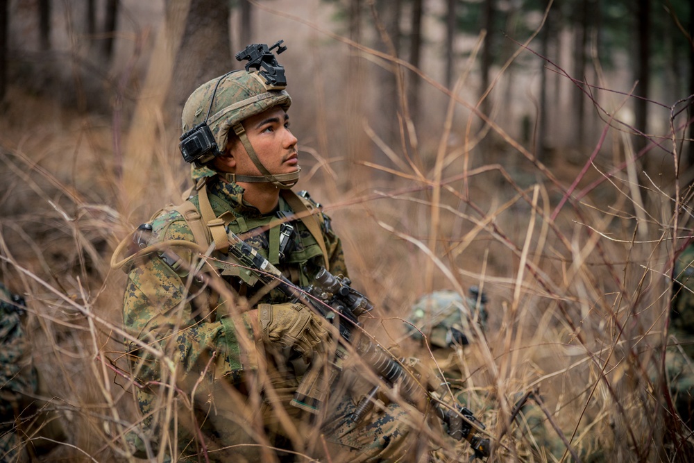 Warrior Shield 24: U.S. Marines Execute Training at KCTC