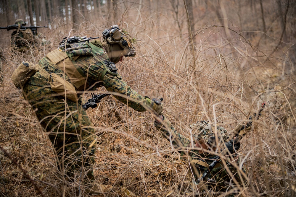 Warrior Shield 24: U.S. Marines Execute Training at KCTC
